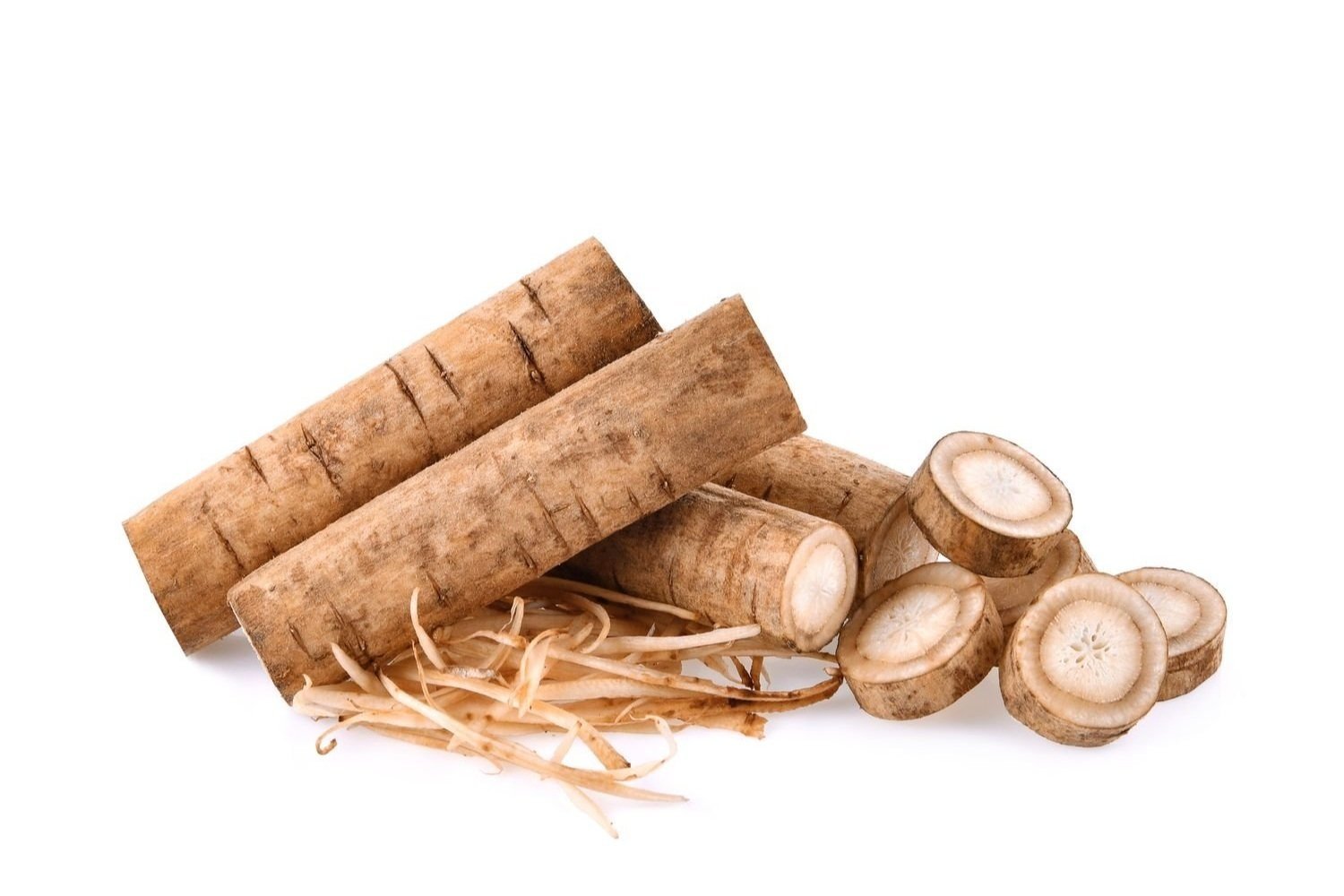 Elton Burdock Root Image