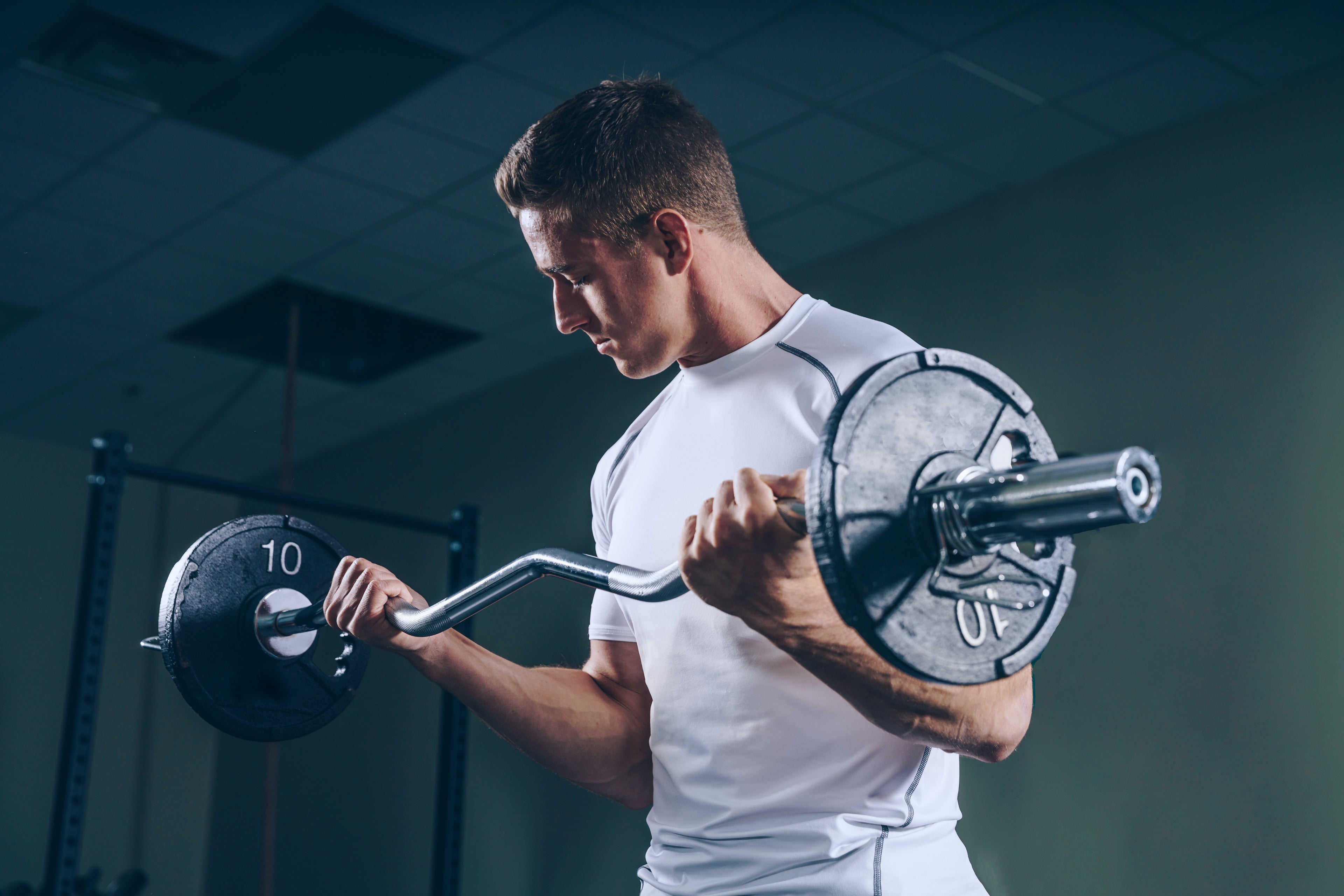 Recovery Reimagined Exercise Banner